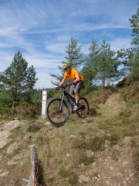 Mountainbike-cyklist ridning spår i wales — Stockfoto