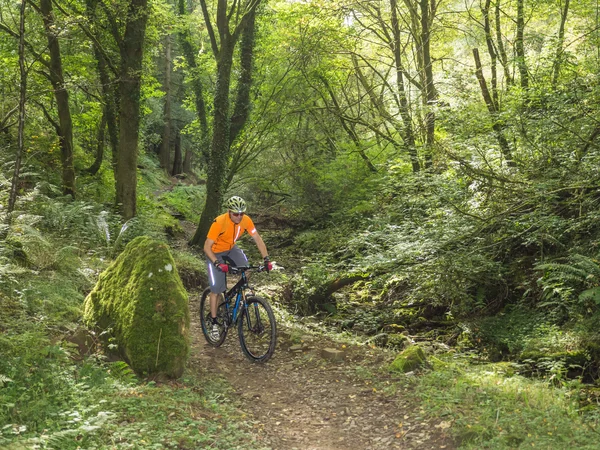 At Binme parkurları Galler'de Mountainbiker