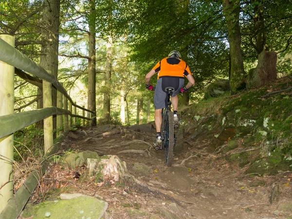 Mountainbiker paardrijden routes in wales — Stockfoto