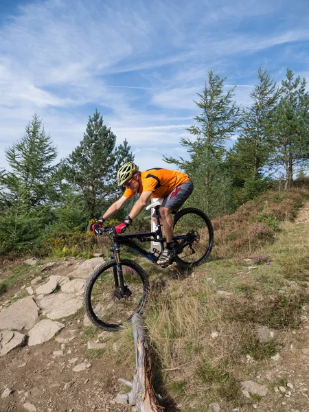 At Binme parkurları Galler'de Mountainbiker — Stok fotoğraf