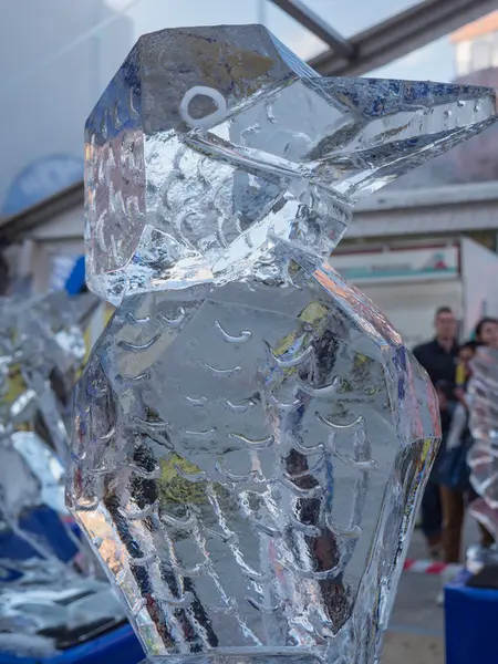 Bird ice sculpture at Sculpture Festival — Stock Photo, Image