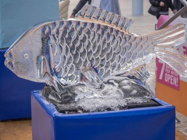 Scultura di ghiaccio di pesce al Festival della Scultura — Foto Stock