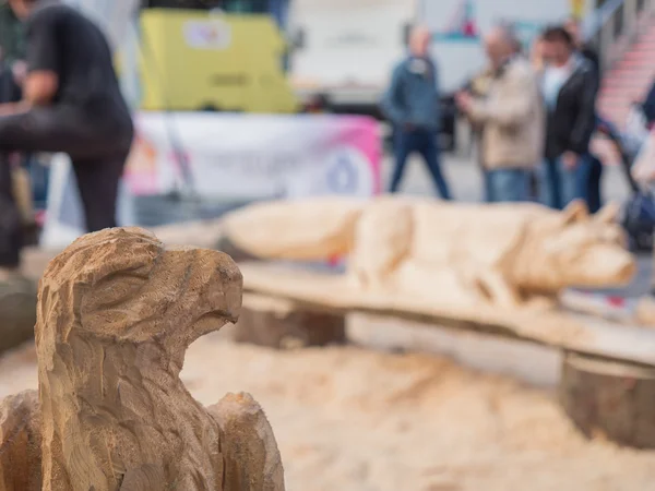 Pájaro de madera de presa escultura en el Festival de Escultura — Foto de Stock