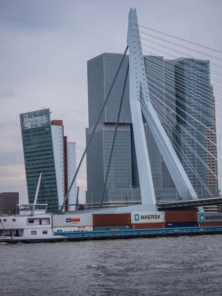 Erasmus most rotterdam, Niderlandy przeciwko ciemne niebo — Zdjęcie stockowe