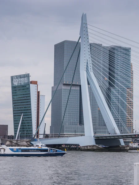 Erasmus most rotterdam, Nizozemsko proti temné obloze — Stock fotografie