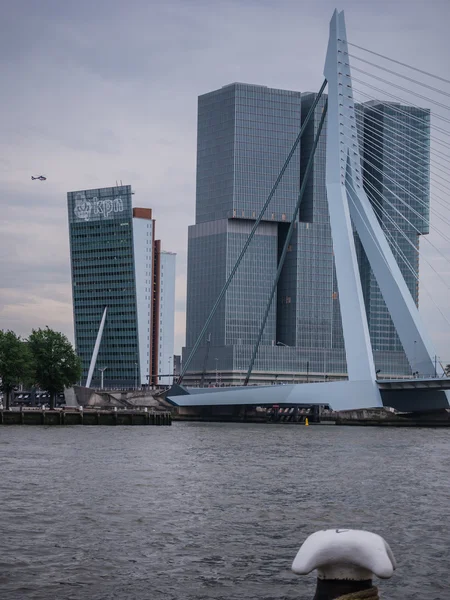 Erasmus most rotterdam, Nizozemsko proti temné obloze — Stock fotografie