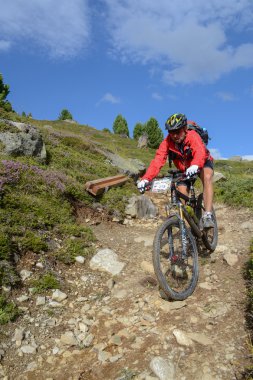 Yine de İsviçre dağ alan sürme Mountainbiker