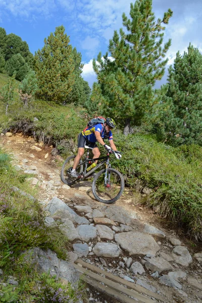 Mountainbiker rijden al Zwitserse bergen — Stockfoto