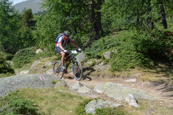 Mountain biker riding though Swiss mountain area — Stock Photo, Image