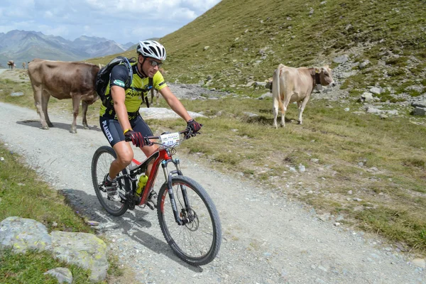 Mountainbiker rijden al Zwitserse bergen — Stockfoto