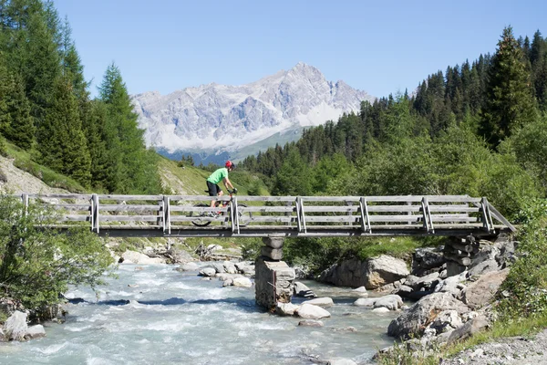 Bicicleta de montaña cruzando puente de madera en zona montañosa suiza —  Fotos de Stock