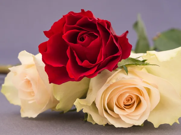 Piccolo mazzo di rose rosse e bianche — Foto Stock