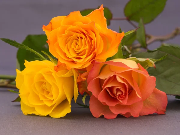 Small bunch of orange and yellow colored roses — Stock Photo, Image
