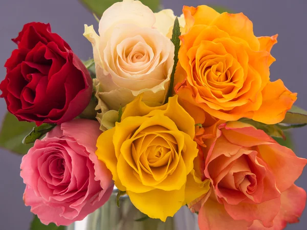Ramo de rosas multicolores — Foto de Stock
