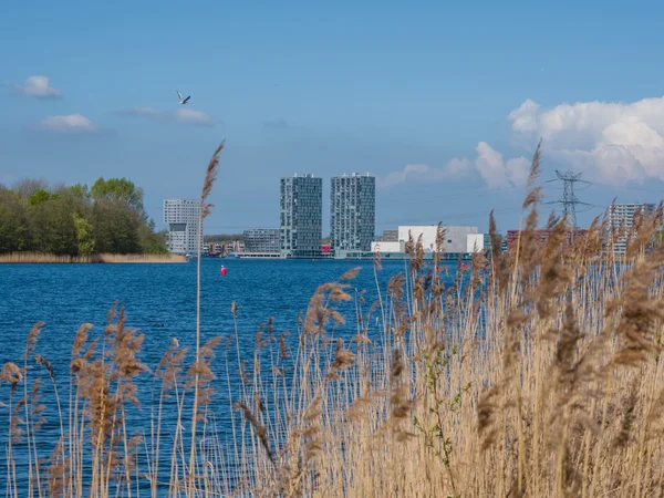 Teil der Skyline des modernen Stadtzentrums von Almere, das Netz — Stockfoto