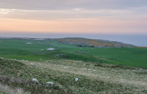 Tramonto dalla costa di Great Ormes Head — Foto Stock