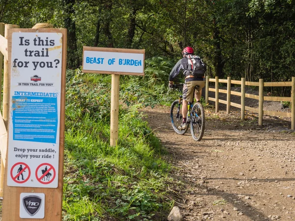 Main riding mountain bike trail — Stock Photo, Image