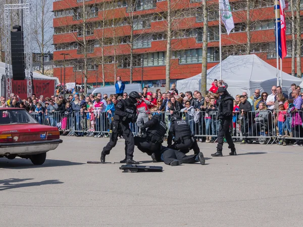 Holenderski swat team w akcji — Zdjęcie stockowe