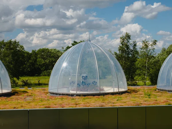 Ecosystem Field Research Centre in Maasmechelen. — Stock Photo, Image