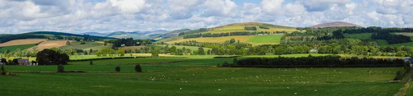 Abderdeenshire Skoçya Daki Blairgowrie Bölgesindeki Vadilerin Panoramik Görüntüsü — Stok fotoğraf