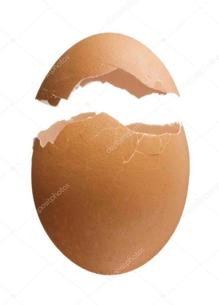 Broken Eggshell