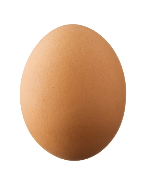 Een bruine ei geïsoleerd op witte achtergrond — Stockfoto