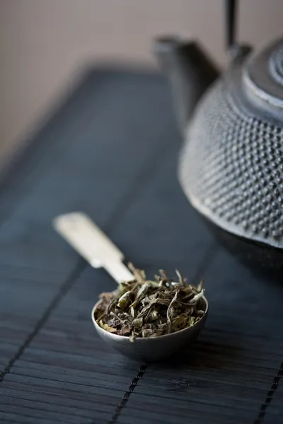 Löffel grüner Tee und Teekanne — Stockfoto