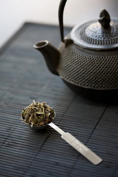 Löffel grüner Tee und Teekanne — Stockfoto