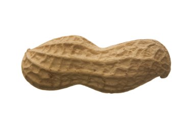 Fıstık beyaz arkaplanda izole edildi