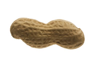 Fıstık beyaz arkaplanda izole edildi