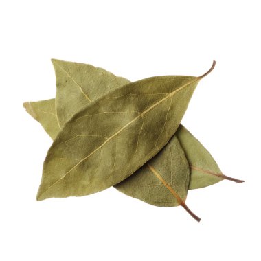 Körfez yaprakları beyaz arkaplanda izole