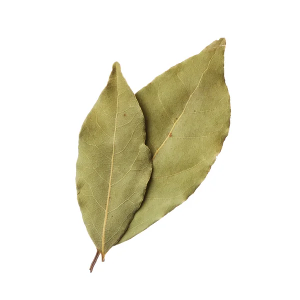 Bay leaves isolated on white background — Stock Photo, Image