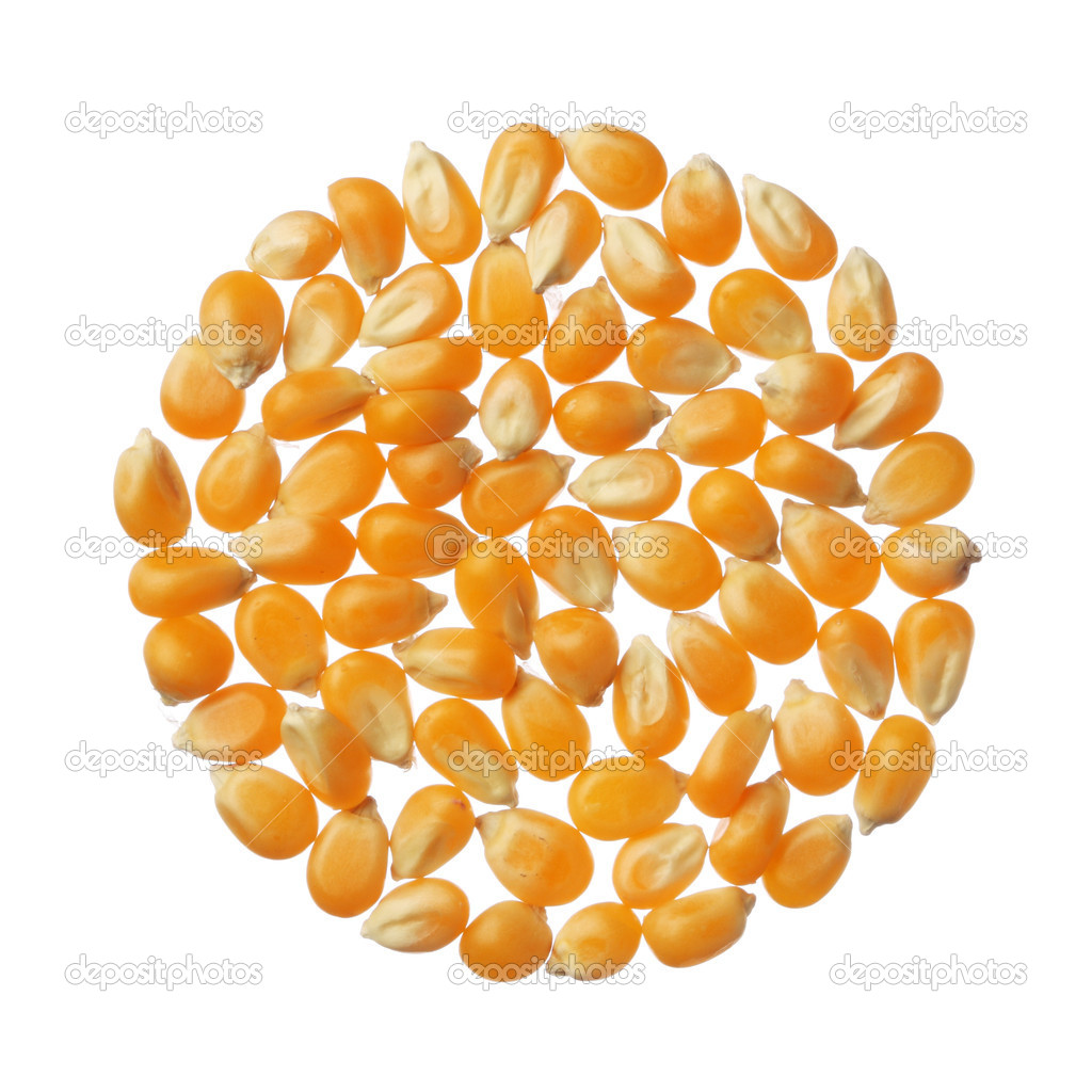 Circle of Popcorn kernels isolated on white background Stock Photo by