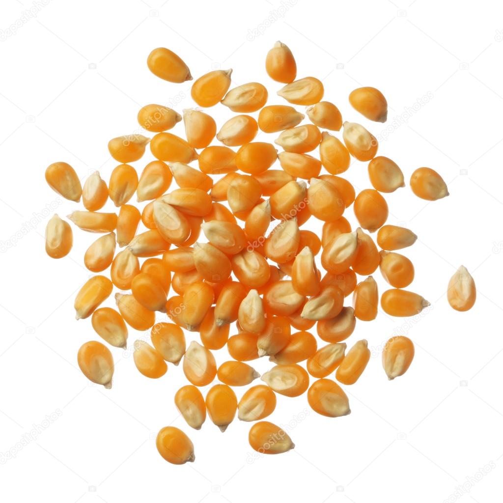 Pile of Popcorn kernels isolated on white background