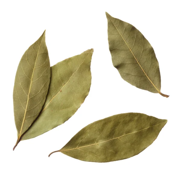 Bay leaves isolated on white background — Stock Photo, Image