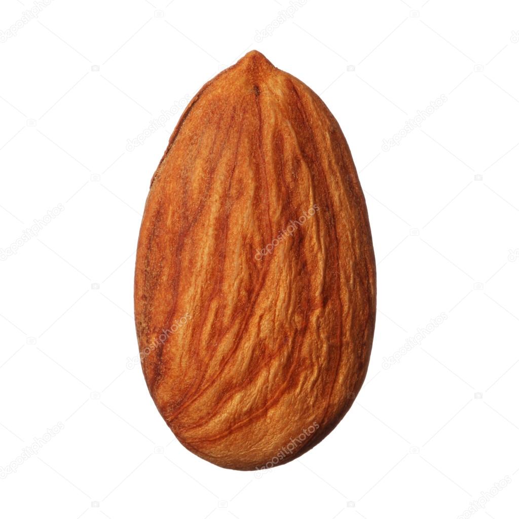 One almond isolated on white background