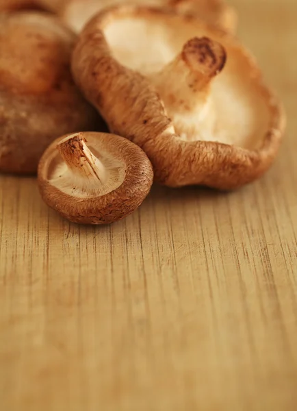 Shitake mushrooms on a cutting board, copy space — Stock Photo, Image