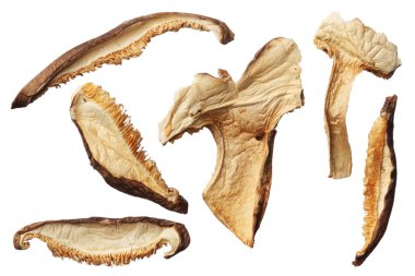 Beyaz arka plan üzerinde izole dilimleri kurutulmuş shiitake mantar