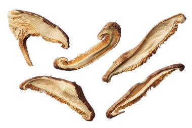 Beyaz arka plan üzerinde izole dilimleri kurutulmuş shiitake mantar