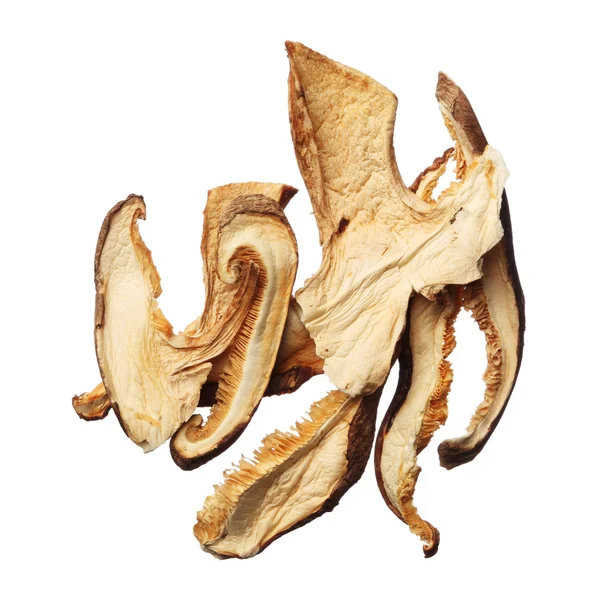 Pile of dried shiitake mushroom slices isolated on white backgro — Stock Photo, Image