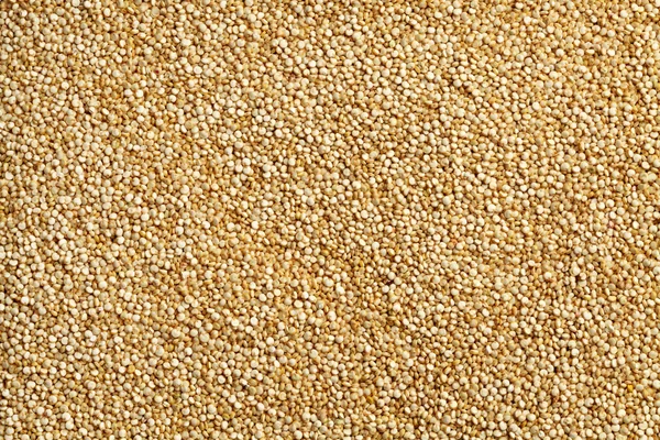 Fundo de quinoa não cozido — Fotografia de Stock