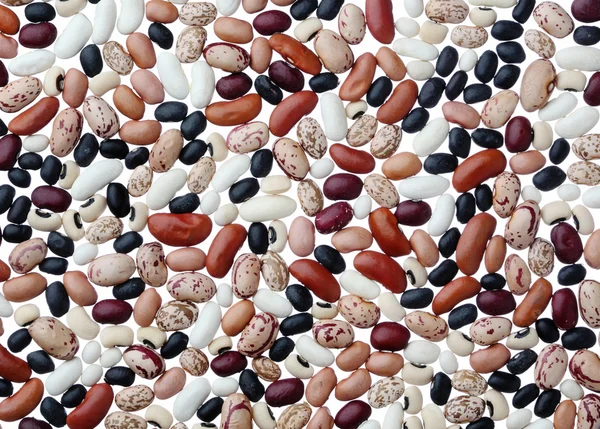 Assorted dried beans background close up — Stock Photo, Image