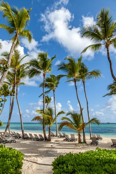 Playa de lujo en Punta Cana, República Dominicana — Foto de Stock