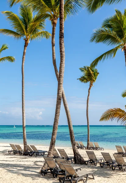 Praia de resort de luxo em Punta Cana, República Dominicana Fotos De Bancos De Imagens
