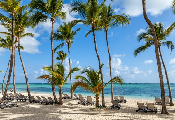 Praia de resort de luxo em Punta Cana, República Dominicana Fotos De Bancos De Imagens