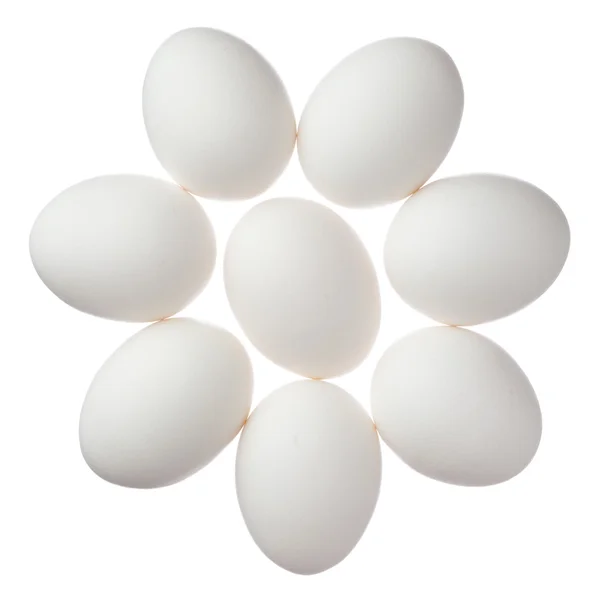 Багато білих яєць ізольовано на білому тлі — стокове фото