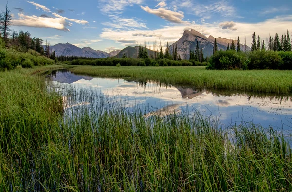 Vermilion Lakes Marshland With Mountain Reflection — Stock Photo, Image