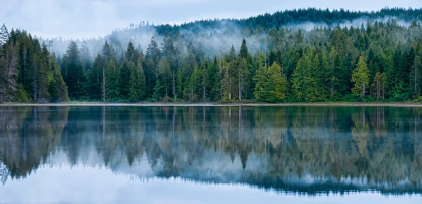 Riflessione perfetta della foresta nebbiosa nel lago — Foto Stock