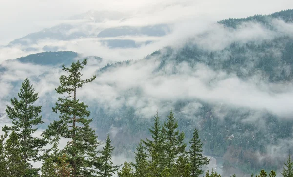 Bäume vor bewölkter Berglandschaft — Stockfoto