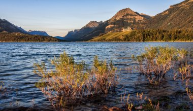 Prince of wales hotel waterton göller Milli Parkı